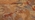 6 x 7 Antique French Aubusson Verdure Tapestry 53775