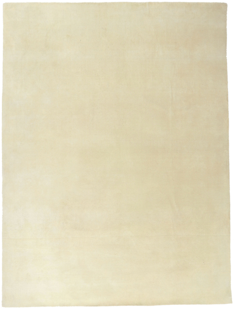 9 x 12 Contemporary Ivory Area Rug 30754