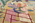 9 x 12 Modern Chinese Art Deco Pictorial Rug 31321