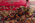 13 x 17 Antique Red Persian Mashhad Rug 79183
