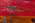 9 x 11 Antique Red Chinese Art Deco Rug 79219