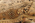 7 x 13 Antique Earth-Tone Turkestan Khotan Rug 73806