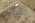 10 x 14 Antique Agra Rug 73986