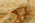 12 x 15 Modern Oushak Rug 30175
