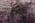 10 x 14 Modern Purple Beni Mrirt Moroccan Rug 20524
