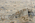 10 x 14 Modern Gray Turkish Oushak Rug 52890