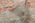 10 x 13 Distressed Antique Persian Mahal Rug 53217